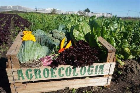 Agroecología un modelo productivo y de intercambio de saberes En