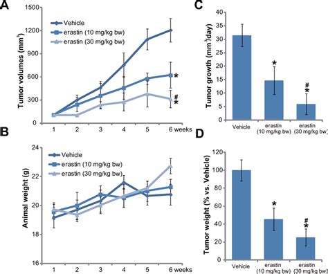 Erastin Administration Inhibits Ht Xenograft Growth In Scid