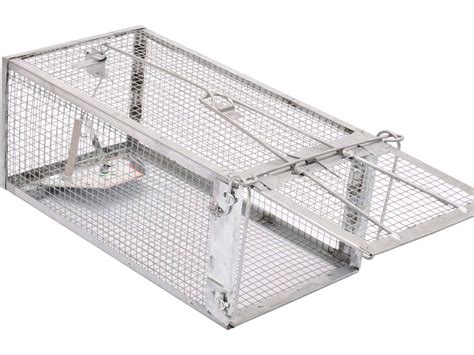 7 Best Chipmunk Traps 2024 Updated Review And Buyers Guide