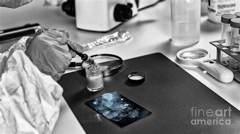 Forensic Expert Working In Forensic Science Laboratory By Microgen Images Science Photo Library