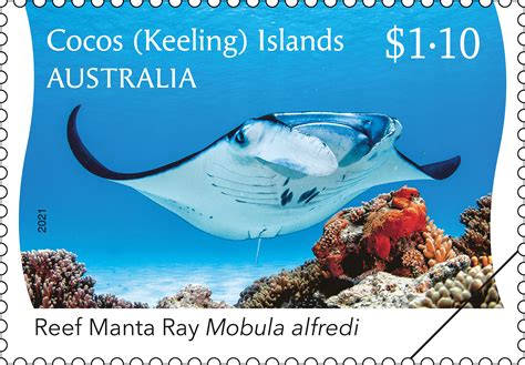 Cocos Keeling Islands Reef Manta Ray Australia Post