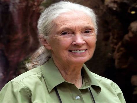 Jane Goodall