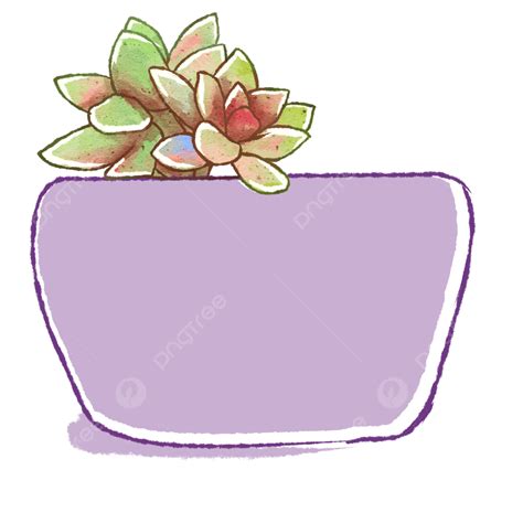 Succulents Plants Png Transparent Hand Painted Succulents Green Plant