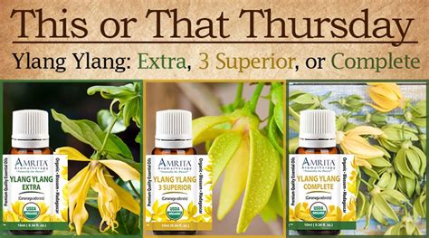 This Or That Extra 3 Superior Or Complete Ylang Ylang Amrita