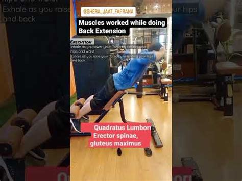 How To Do Hyperextension And Muscles Worked In Hyperextension Youtube