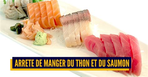 Top Des Poissons Quil Faut Arr Ter De Manger Pour Ton Corps Et