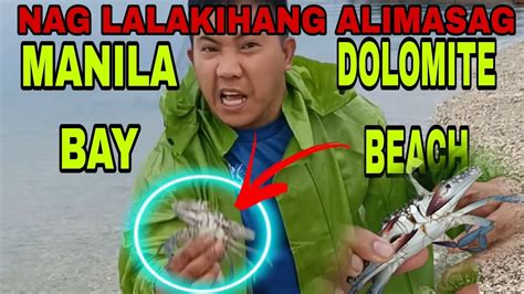 Grabi Alimasag Naglabasan Sobrang Linaw Ng Dagat Youtube