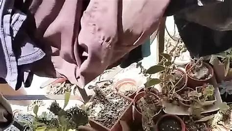 Cum 3 Gay Public Amateur Porn Feat Dragons XHamster