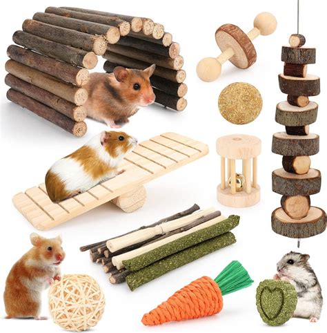 amazoncom hamster toys guinea pig toys hamster wheel hamster cage