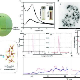 A Schematic Of The Synthesis Of Pd SNPs PLA Nanofibers B Images Of