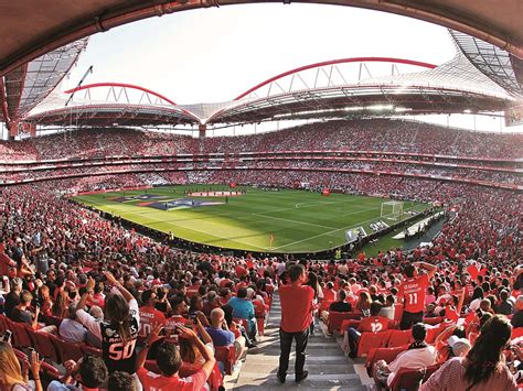 Aprender Sobre 50 Imagem Estadio Da Luz Fotos Vn