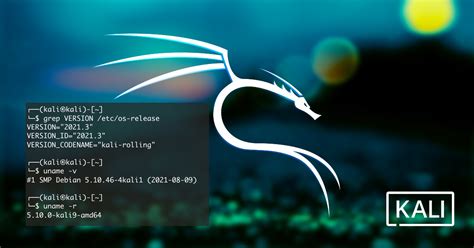 Kali Linux 2021 3 Release OpenSSL Kali Tools Kali Live VM Support