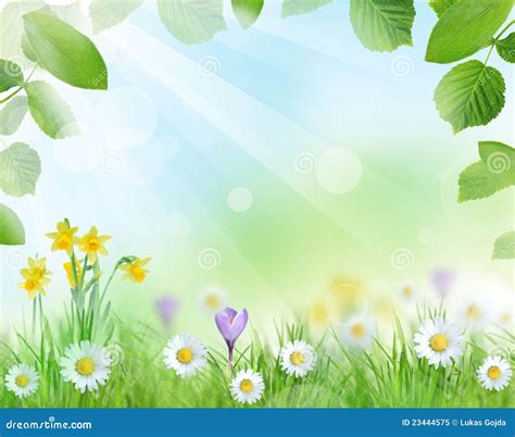 Beautiful Spring Scenery Stock Illustration Illustration Of Close