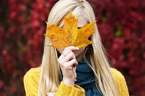 Mooie Blonde Jonge Vrouw De Herfstportret Stock Foto Image Of Achtergrond Oktober 34467488