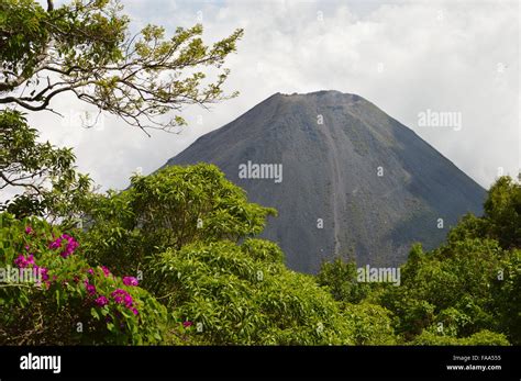 El Pico Perfecto Del Volc N Izalco Joven Y Activo En El Parque Nacional