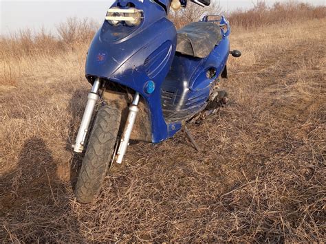 Купить б/у Другие Скутеры (другие) в Новопавловке: синий 2020 года по ...