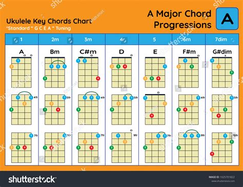 Ukulele Chord Chart Standard Tuning Ukulele Stock Vector (Royalty Free ...