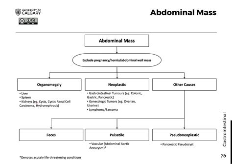 Pulsatile Abdominal Mass