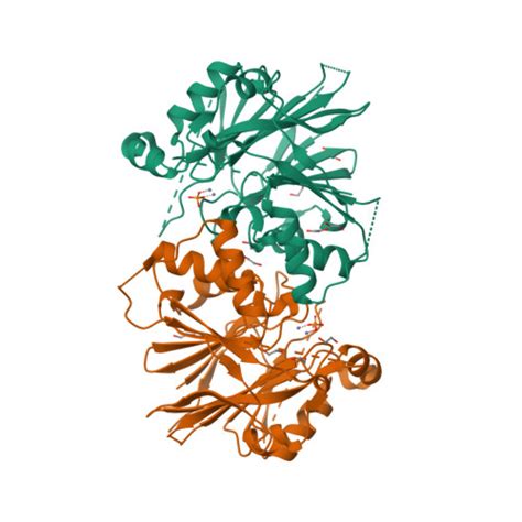 RCSB PDB 3ZWF Crystal Structure Of Human TRNase Z Short Form ELAC1