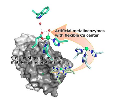 Success in simple creation of artificial meta | EurekAlert!