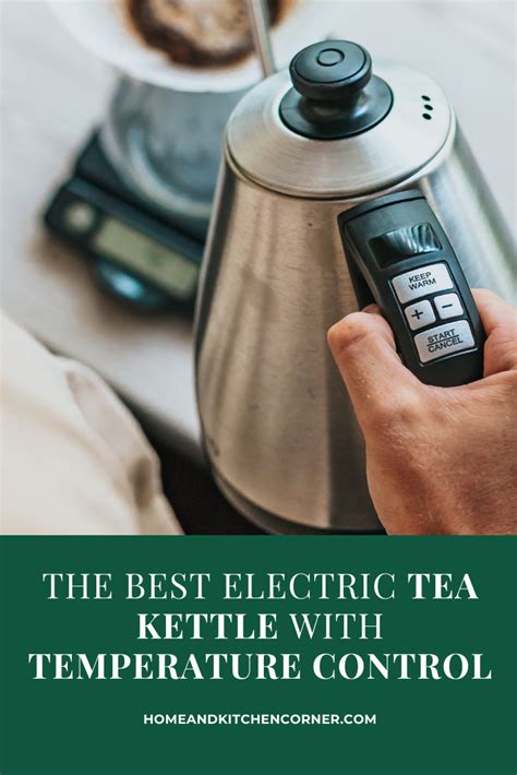 10 Best Electric Tea Kettles with Temperature Control to Buy - Reviews