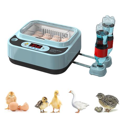 Automatic Egg Incubator Controller Digital Led Temperature