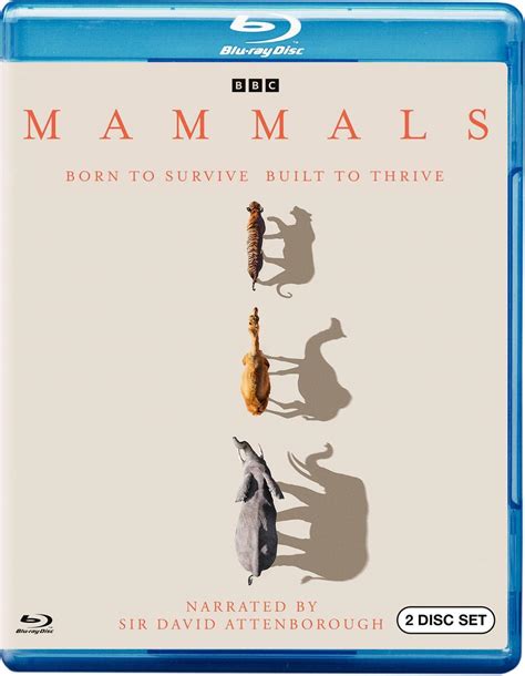 Amazon Mammals Blu Ray Daniel Rasmussen David Attenborough