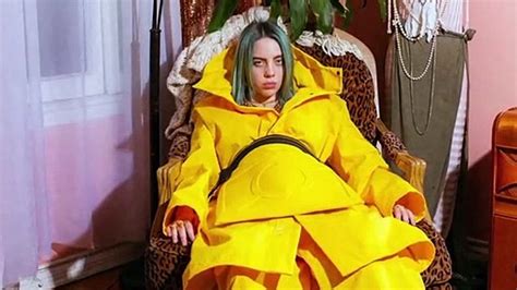 Billie Eilish's Controversial Photo: The Facts, the Fallout, and the Future - hxsaaon