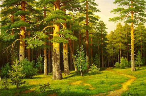 Лес в картинках для детей. Лесные картинки для школьников.