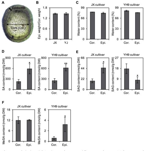 figure   transformation  salicylic acid   distribution