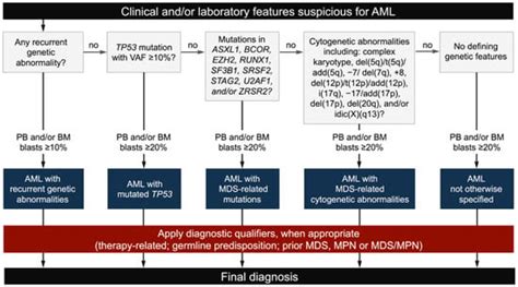 Hemato Free Full Text Whats New In The Classification Diagnosis