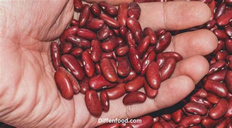 Red Beans vs Kidney Beans: All Differences Explained