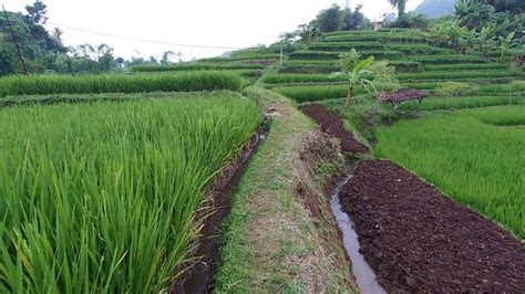 Tak Disangka Seindah Ini Kampung Yang Masih Asri Ini Akan Dijadikan