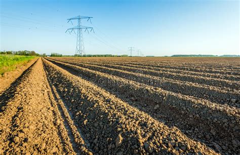 High Voltage Lines And Power Pylons In A Dutch Agricultural Land Stock