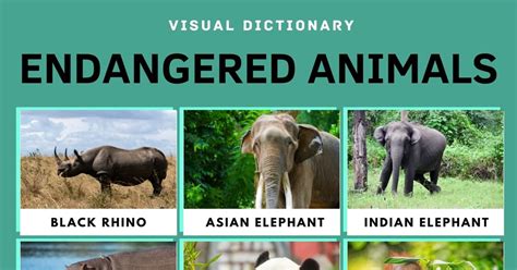 endangered 7esl