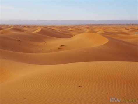 Sahara Desert Tour: How to Plan The Trip of Lifetime – Wild Junket