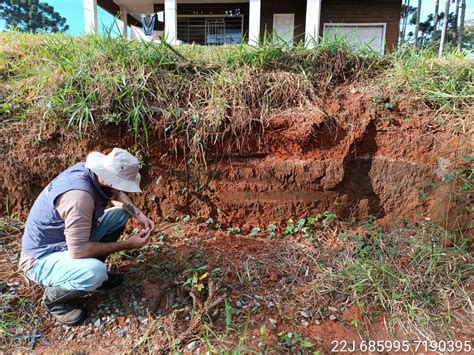 Estudos arqueológicos são realizados no município de Pinhais região