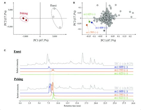 Principal Component Analysis Pca Plots And Liquid Download Scientific Diagram