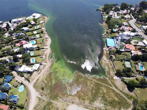 Contaminación La muerte del lago San Roque El Diario de Carlos Paz