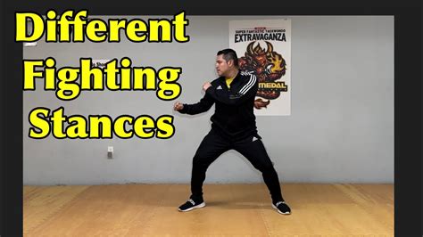 Fighting Stances And Their Purpose For Each Youtube