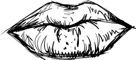 Drawing of lips, illustration, vector on white background. 13495148 ...