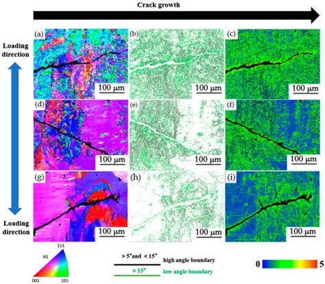 Metals Free Full Text The Effect Of Fatigue Damage On The Corrosion Fatigue Crack Growth