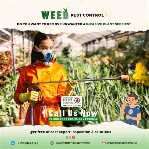 Weed Control Horizon Pest Control