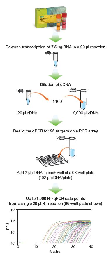 Iscript Advanced Cdna Synthesis Kit For Rt Qpcr Life Science Research