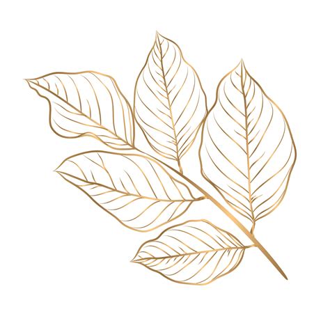 Vector golden leaf stripes on white background 16970404 Vector Art at Vecteezy