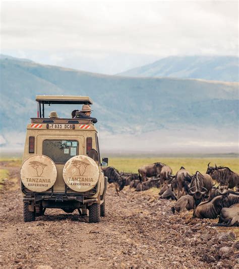 Ngorongoro Krater in Tansania Safaris Reiseführer