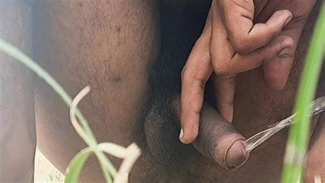 My New Masturbating Video In The Jungle Fields Indian Gay Big Cock Porn XHamster