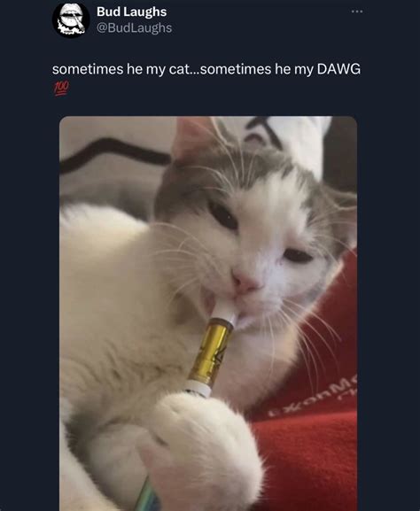 Dj Fuck On Tumblr