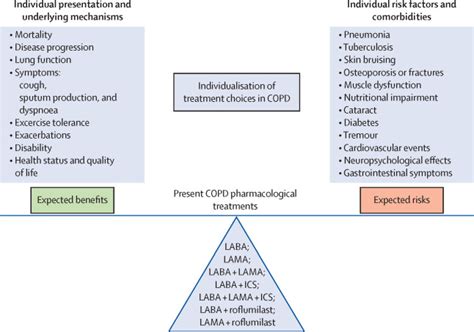 Current Concepts In Targeting Chronic Obstructive Pulmonary Disease Pharmacotherapy Making