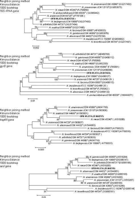 Phylogenetic Trees Based On The S Rrna Gyrb Hsp And Sod